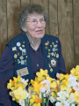American Daffodil Society Silver Medalist 2013 Jeanie Driver