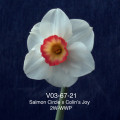 V03-67-21Salmon Circle x Colin's Joy2W-WWP