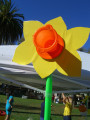 Large Daffodil Display