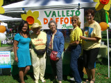Part of the Vallejo Daffodil Group