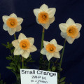 Small Change Opens 2W-Y & changes to 2W-P