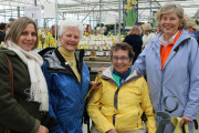 Sally Nash with Nantucket daffodil friends