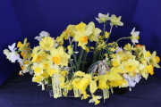 Celia Jones' flowers