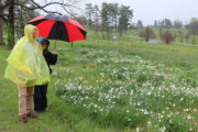 Nial Watson of N. Ireland and Lisa Kuduk of KY, USA on a rainy tour of Shaw Gardens