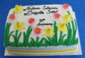 Cake for 50th Anniversary of the Northern California Daffodil Society