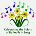 Celebrating the Colors of Daffodils in Song