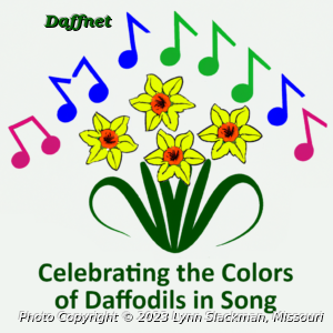 Celebrating the Colors of Daffodils in Song