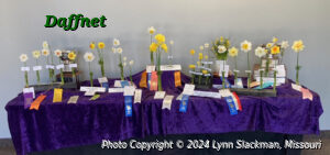 Queen's table at 24th Annual Daffodil Show presented by The Greater St Louis Daffodil Society